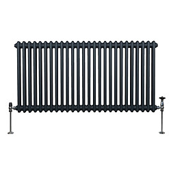 Monstershop Radiateur Traditionnel à Double Colonne – 600 x 1192 mm – Gris Anthracite