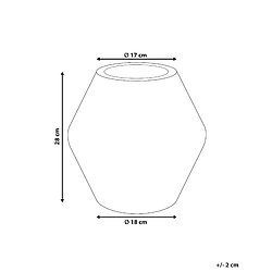 Avis Beliani Vase à fleurs ARUNCUS Céramique 30 cm Beige