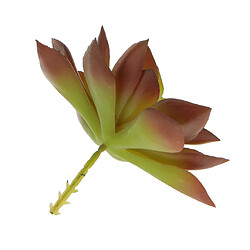 Artificial Succulent Réel Tactile Snow Lotus Feuille Feuillage D'automne Couleur pas cher