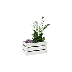 Avis Pinus Caisse de rangement en pin grand modèle 46 x 31 x 25 cm blanc.