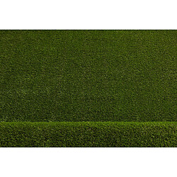 RUGSX GAZON SYNTHÉTIQUE FORESTLAND dimensions standards 300x350 cm