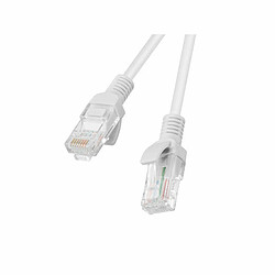 Câble Ethernet LAN Lanberg Gris 50 m