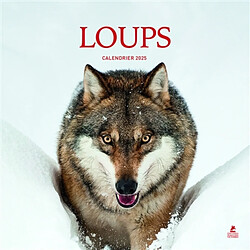 Loup : Calendrier 2025