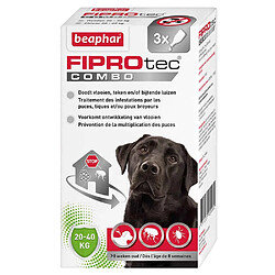 Pipettes Anti-tiques Fiprotec Combo pour Grand Chien - Beaphar - x3