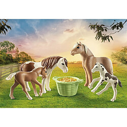 Playmobil® Country 2 poneys islandais et poulains