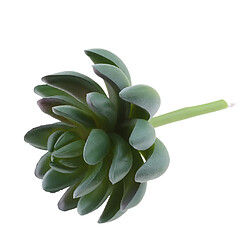 Plante succulente artificielle cactus maison décor # 13 1 pièce 16 x 9cm