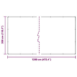 Acheter vidaXL Bâche transparente avec œillets 3x12 m polyéthylène