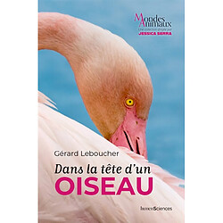 Dans la tête d'un oiseau