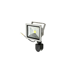 Acheter Tradex MOTION SENSOR LED SPOTLIGHT WHITE LIGHT 220V