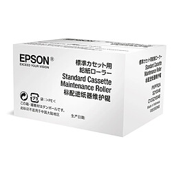 Toner Epson C13S210046 (1 Unité)