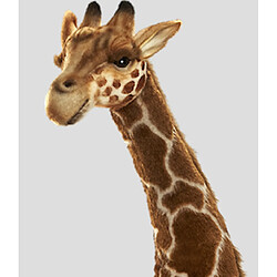 Hansa Peluche Geante Girafe 130 cm H