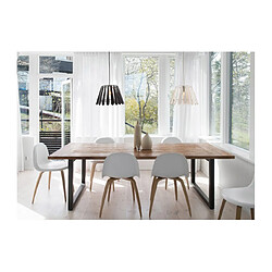 Acheter Luminaire Center Suspension Somerset Noir mat 1 ampoule 28cm