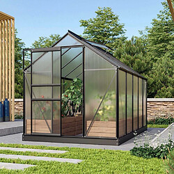 Vitavia Serre de jardin en polycarbonate 4 mm et aluminium noir avec embase Venus Longueur de 321 cm.