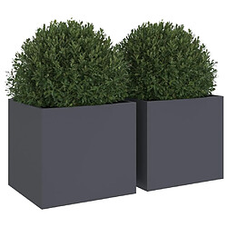 Acheter Maison Chic Lot de 2 Jardinières,Bac à fleurs - pot de fleur anthracite 32x30x29 cm acier laminé à froid -GKD39501