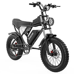 Acheter Vélo électrique Ridstar Q20, moteur sans balais 1000W, gros pneus 20 x 4,0 pouces, batterie amovible 48V 20Ah, vitesse maximale de 48km/h, Autonomie 120 km