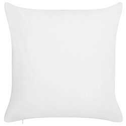 Beliani Lot de 2 coussins VIOZENE 45 x 45 cm Blanc pas cher