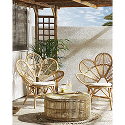 Beliani Lot de 2 chaises Chaise de jardin Rotin Beige FLORENTINE