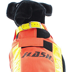 Gilet de signalisation pour chien CaniHunt Flash V2 pas cher