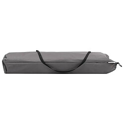 Maison Chic Chaise longue, Transat pliable 2 places Gris Acier pas cher