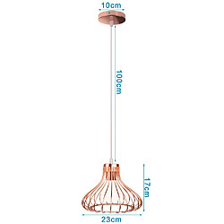 Acheter Stoex Métal Suspension Or rose Cage Industriel Vintage Suspensions Luminaire Métal Retro Antique Suspensions Luminaire Cage Edison Culot E27 Plafonnier Luminaire