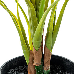 Avis Plante décorative Alexandra House Living Plastique Aglaonema 50 cm