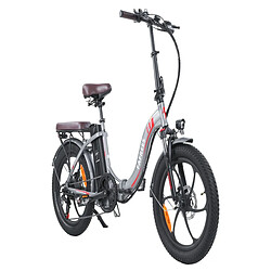 Acheter Vélo Électrique FAFREES F20 Pro | Moteur 250W Batterie 648WH Autonomie 80KM | Gris