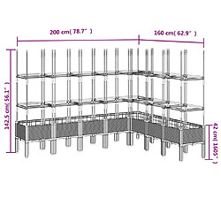 vidaXL Jardinière avec treillis noir 200x160x142,5 cm PP pas cher