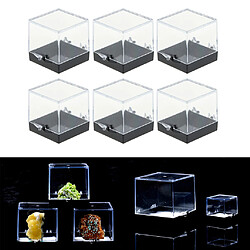 Paquet De 6 Vitrines En Acrylique Pour Figurines D'animaux Collection De Modèles 3D 3x3x3.5cm