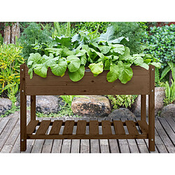 Avis Carré potager en bois marron L - Esschert Design