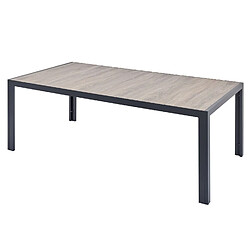 Concept Usine Table Aluminium et plateau effet bois 10 personnes LAGOS