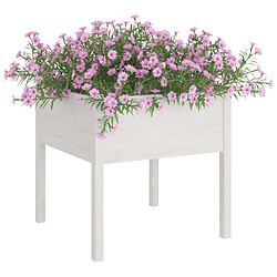 Avis Maison Chic Lot de 2 Jardinières,Bac à fleurs - pot de fleur Blanc 70x70x70 cm Bois de pin massif -GKD40319