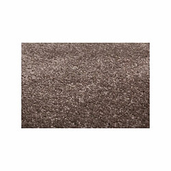 Avis Paris Prix Tapis Tissé Déco Saint Lucia Marron 200 x 290 cm