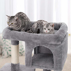 Feandrea Arbre à Chat Colonne en sisal pour aiguiser Les Griffes 2 niches luxueuses Maison de Jeu Meubles pour Chatons, Chats et félins Couleur Grise Claire PCT61W