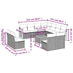 Acheter vidaXL Salon de jardin 12 pcs avec coussins noir résine tressée