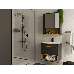 Acheter Vente-Unique Armoire murale de salle de bain anthracite - 60 cm - YANGRA