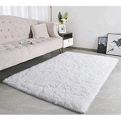 Avis Tapis Salon Carré Shaggy Moderne Blanc 80x60cm