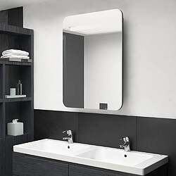 vidaXL Armoire de salle de bain à miroir LED anthracite 60x11x80 cm