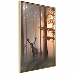 Paris Prix Affiche Murale Encadrée Forest Seclusion 40 x 60 cm Or