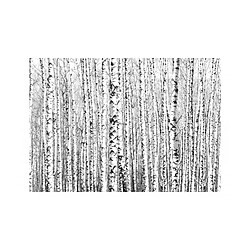 Artgeist Papier peint - Birch forest [350x245]