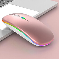 Yonis Souris RGB Sans Fil Ergonomique étanche