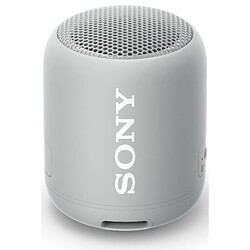 sony - srsxb12h