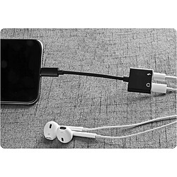 Acheter GUPBOO Adaptateur Lightning pour iPhone,JL1070