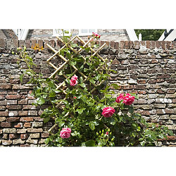 Avis Nature Palissade de jardin 45 x 180 cm Bambou