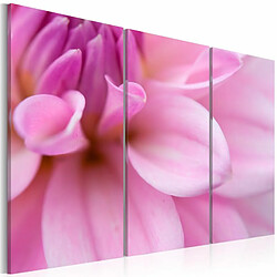 Paris Prix Tableau Imprimé Dahlia Rose 40 x 60 cm