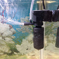 Acheter filtre pour aquarium