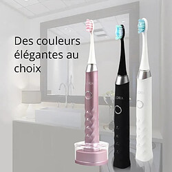 AILORIA SHINE BRIGHT SB-171P 50345218 - Brosse a dents a technologie sonique USB - Noir et argent pas cher