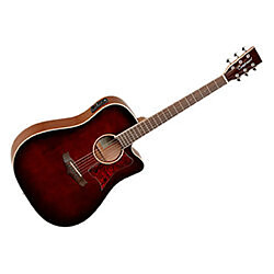 TanglewoodTW5WB