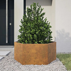 vidaXL Jardinière hexagone 104x90x45 cm acier corten