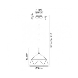 Luminaire Center Suspension 1 ampoule Graphite,intérieur blanc