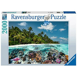 Avis Ravensburger Puzzle Adultes Une plongee aux Maldives - 2000 pcs